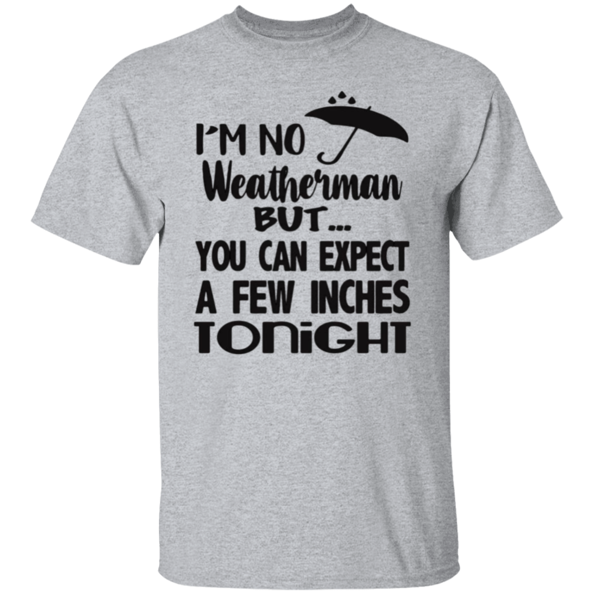 I'm no weatherman |5.3 oz. T-Shirt