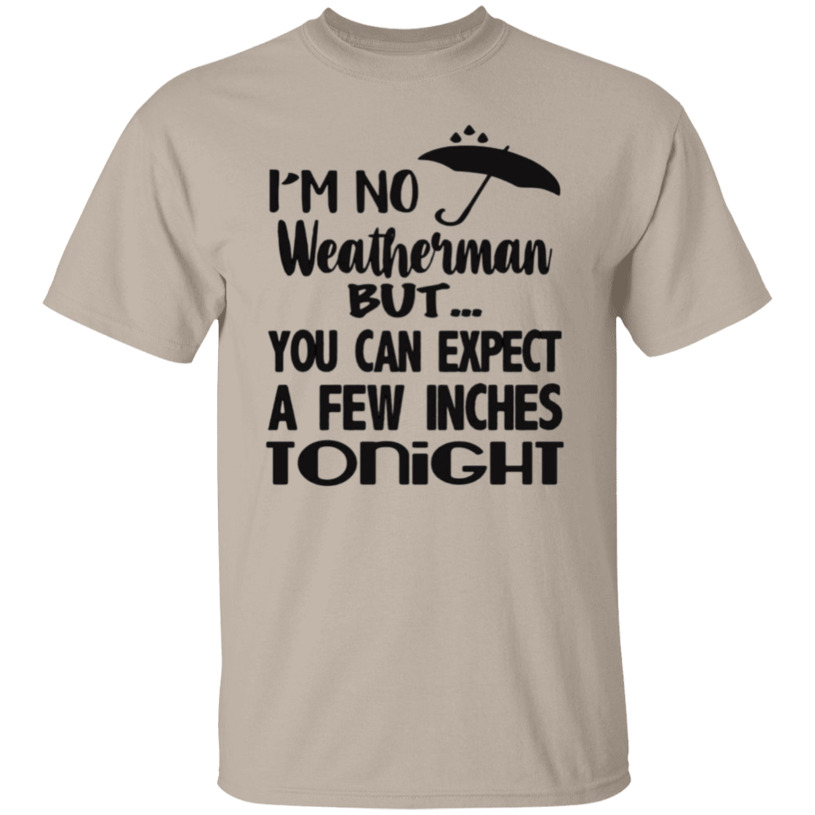 I'm no weatherman |5.3 oz. T-Shirt